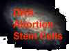 Biology, Abortion, Stem Cell Research