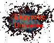 Ekpyrotic Universe